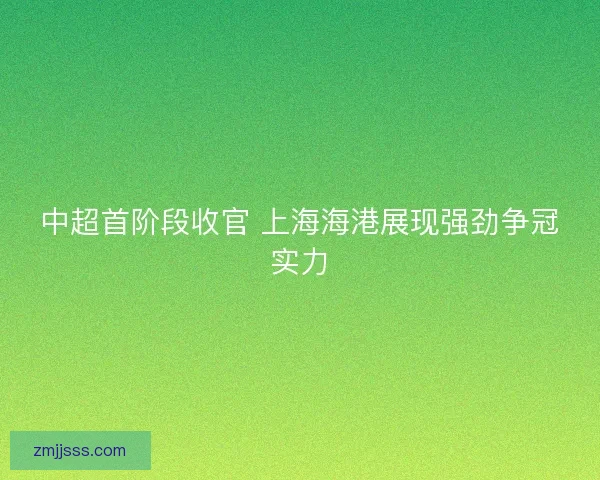 中超首阶段收官 上海海港展现强劲争冠实力 中超首阶段收官 上海海港展现强劲争冠实力