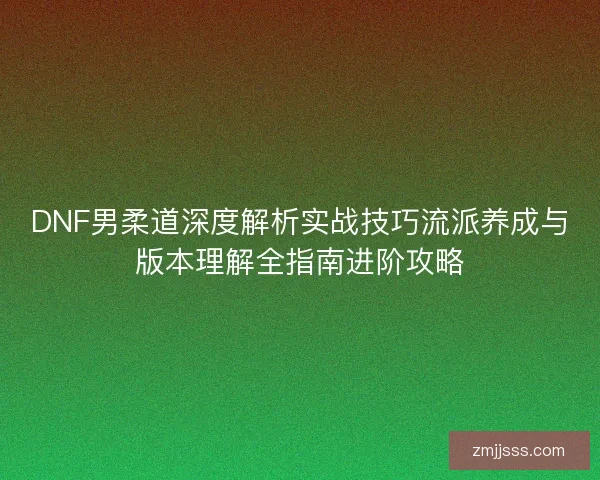 DNF男柔道深度解析实战技巧流派养成与版本理解全指南进阶攻略